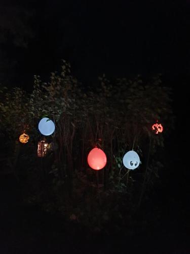 20241026 184918